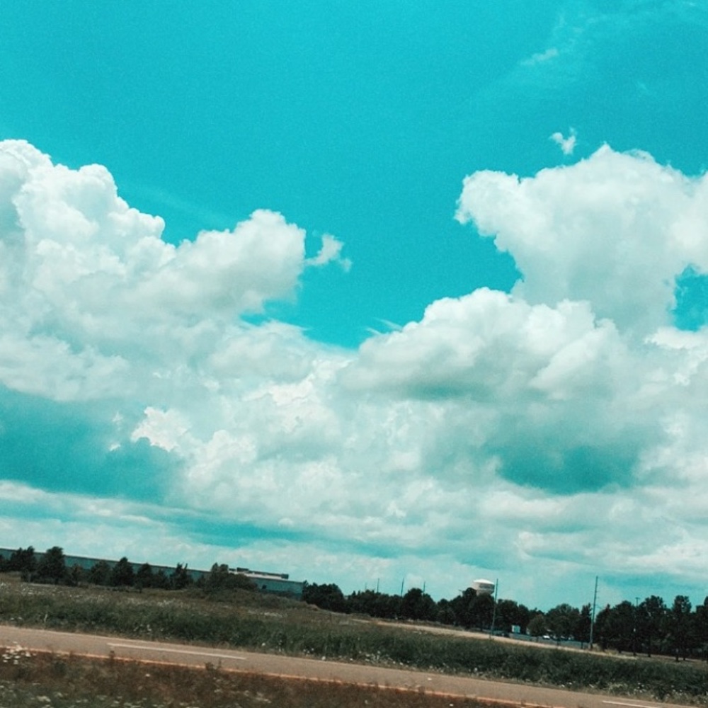 Meet your Posher, Jalynn